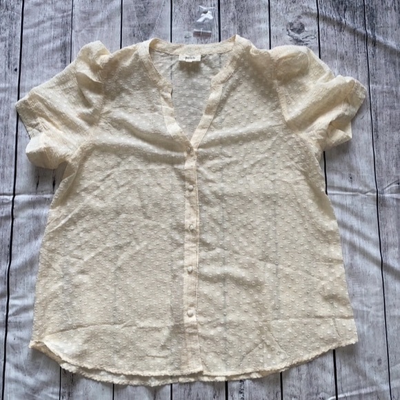 Women’s Plus Size Top Shirt Blouse Cream 1X NEW Perch by Blu Pepper - Picture 6 of 8